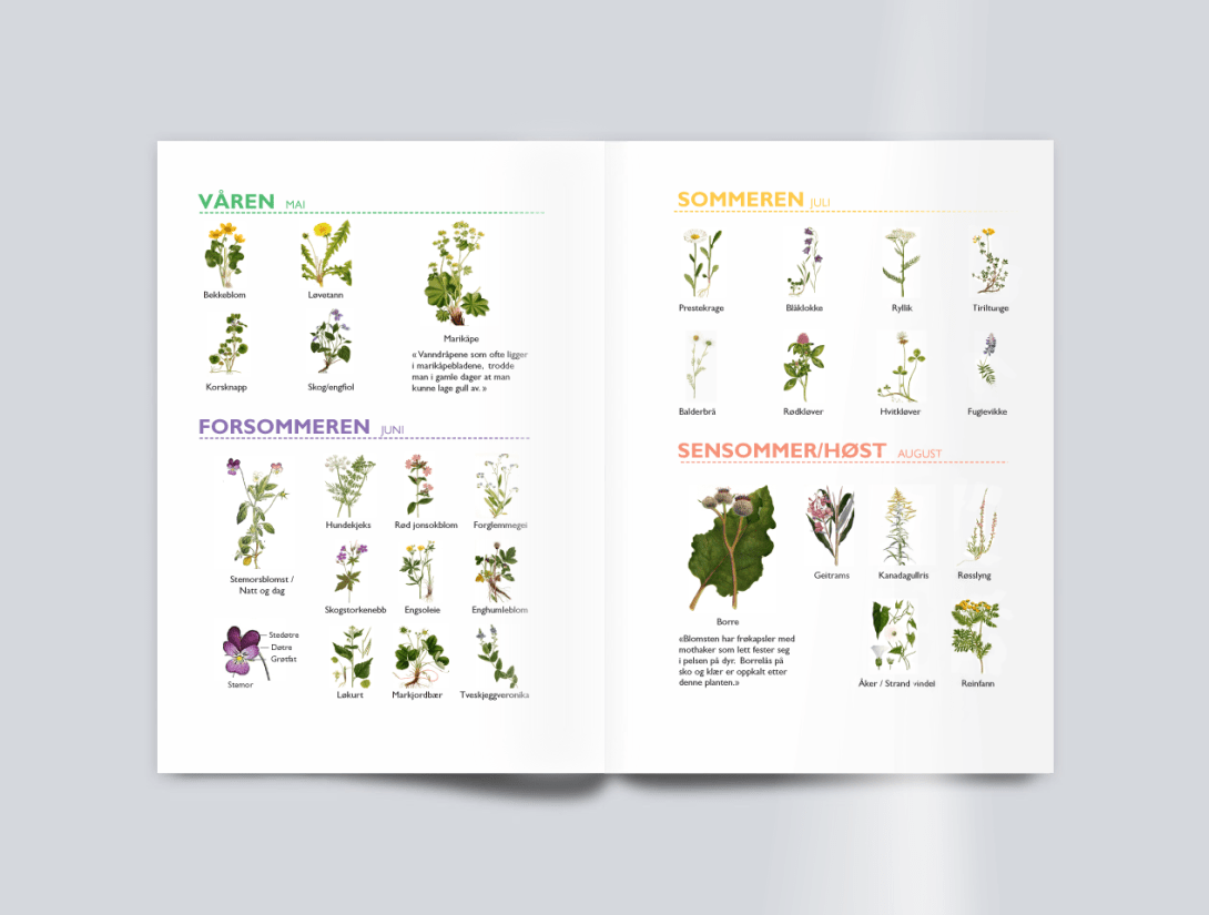 brosjyre barnas inni